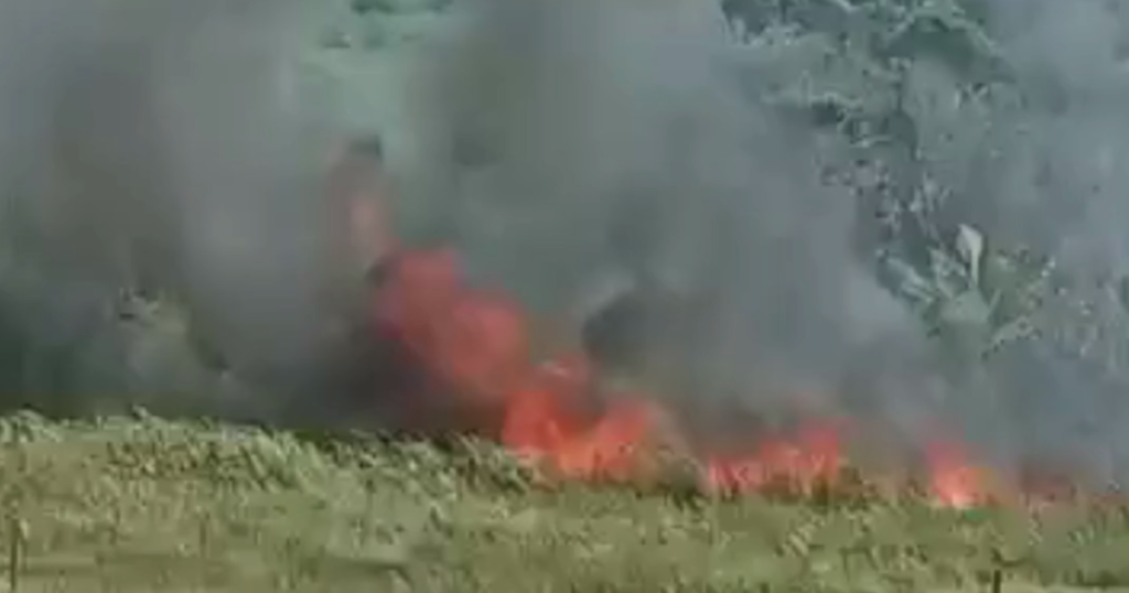 Moradora Registra Incêndio em Área de Reserva do Iema em Guarapari