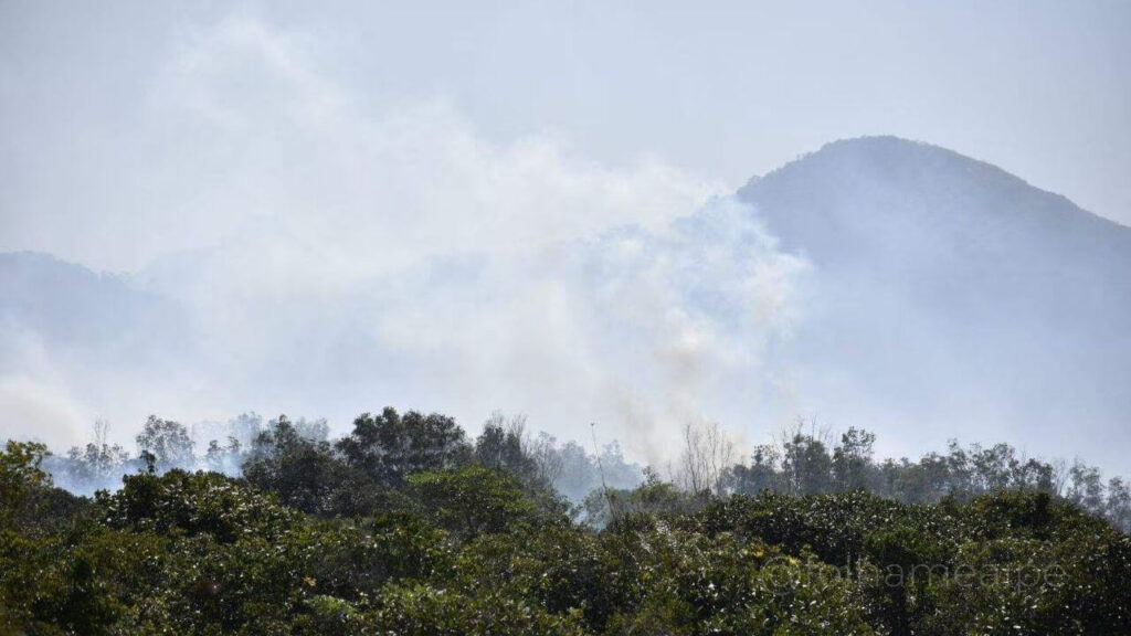 Últimas Notícias de Guarapari Biodiversidade, Incêndios e Mais