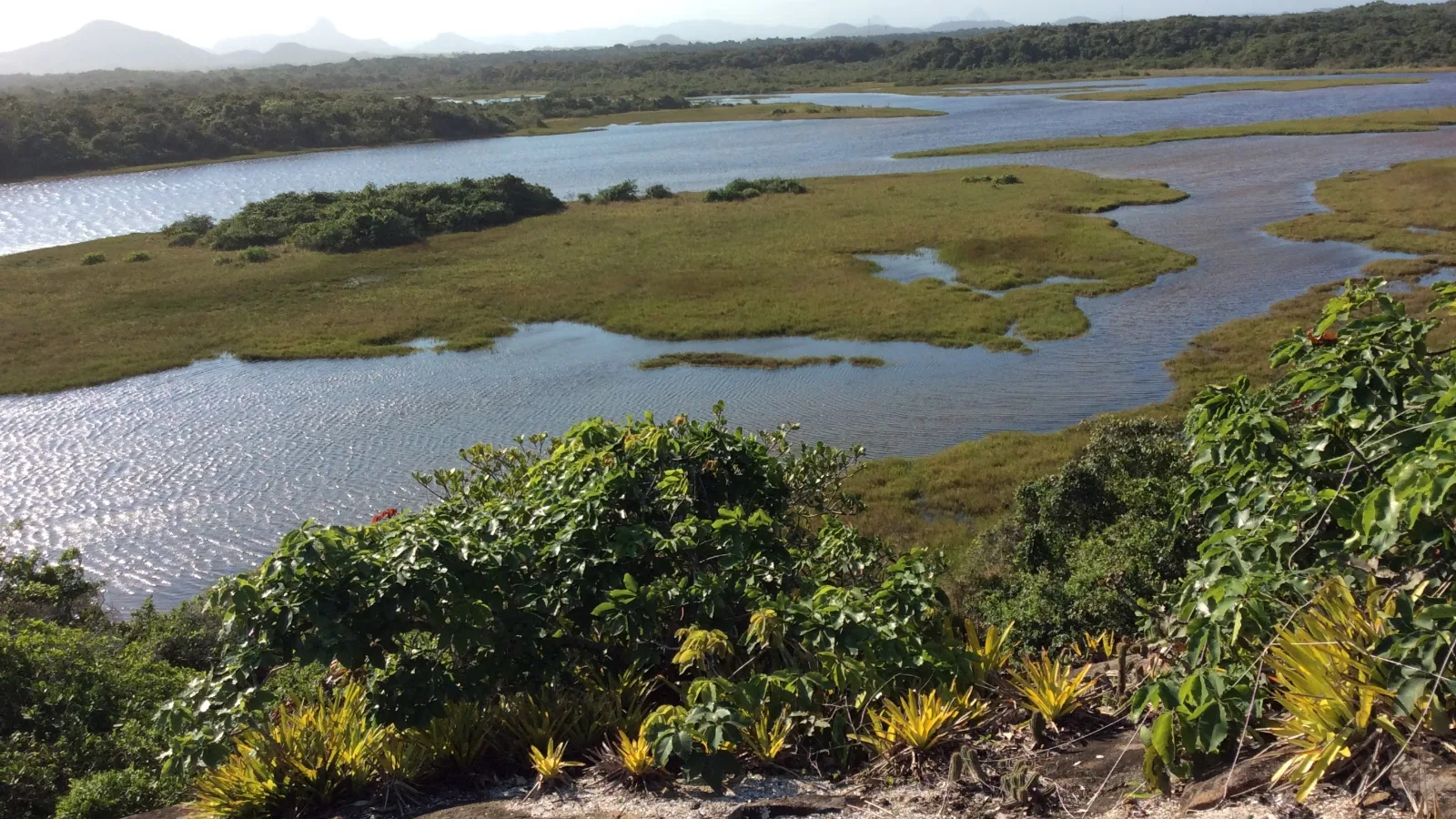 Parque Estadual Paulo César Vinha: guia com trilhas, Lagoa de Caraís, horários e regras 1 Vista de lagoa cercada por vegetação de restinga no Parque Estadual Paulo César Vinha